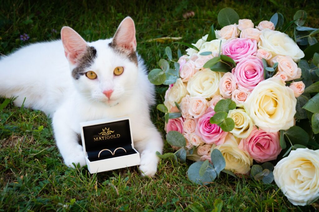 pulmapäeva täispäeva jäädvustamine